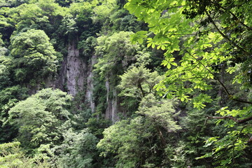 Fototapeta na wymiar 日本の山奥の景色