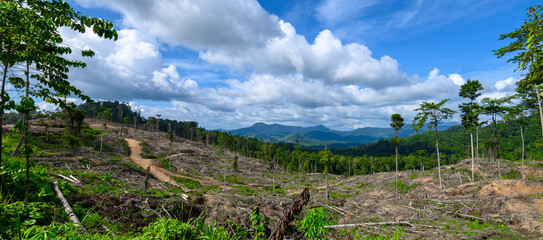 Obraz premium mountain landscape with blue sky