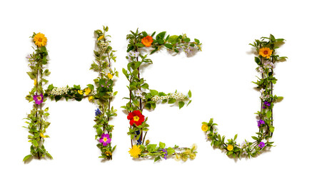 Flower, Branches And Blossom Letter Building Swedish Word Hej Means Hello. White Isolated Background