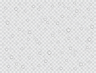 Water rain drops or steam shower texture isolated on transparent background. Vector pure droplets on window glass surface pattern