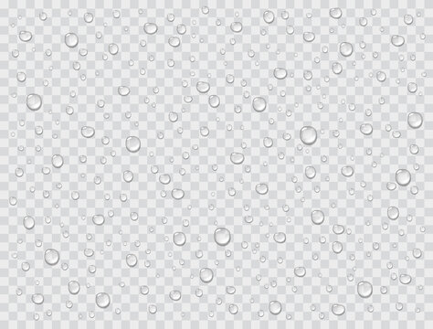 Water rain drops or steam shower texture isolated on transparent background. Vector pure droplets on window glass surface pattern