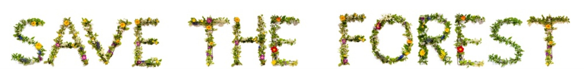 Flower, Branches And Blossom Letter Building English Word Save The Forest. White Isolated Background