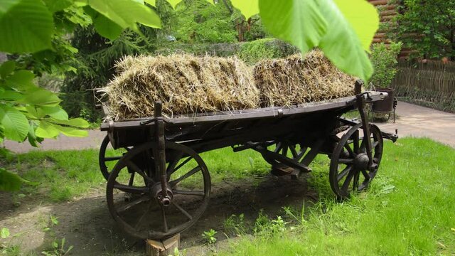 Green plants and an old wooden cart in the garden outside the city
