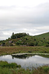 Fototapeta na wymiar Lake with mountains in the background, Killarney National Park, Ireland