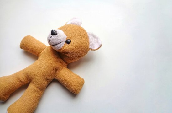 A brown colour little teddy bears isolated on white background with copy space, baby doll