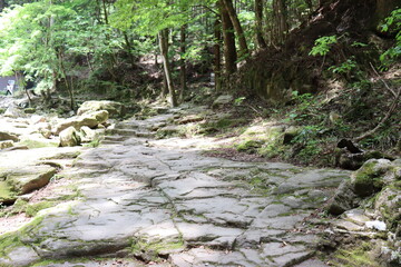 日本の山奥の景色