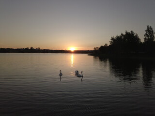 Sunset on lake, sunset, belarus, europe, beautiful view