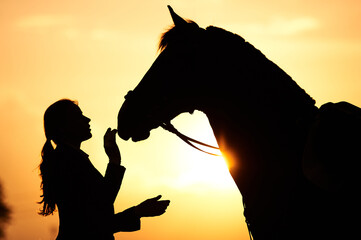 A horse rider girl stroking the head of a horse in the rays of the setting sun. Silhouette of a...