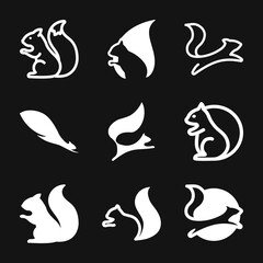 Squirrel vector icon isolated on a backgrounds.