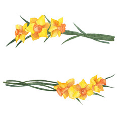 Watercolor yellow wedding horizontal botanical design banner. Daffodil, green leaves and brunches isolated on white background. Spring time composition for greeting cards, decoration.