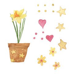 Watercolor hand painted illustration of flower yellow daffodil in pot isolated on white background. Stars, flowers, dots, pink hearts. Elements for design, prints, greeting or wedding cards. © Kaya Gach