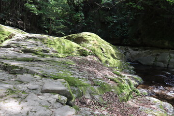 日本の山奥の景色