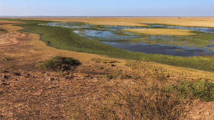Fototapeta na wymiar National park Amboseli - Kenya, Africa