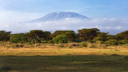 Mount Kilimanjaro  - National park Amboseli - Kenya