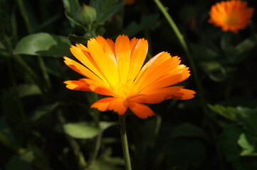 Bielefeld from the top