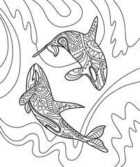 Wild killer whales (orcas) in the wild. Page of coloring book. Vector black and white illustration.