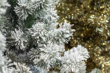 A branch of a fake Christmas tree in hoarfrost, snowy fir needles. Festive Christmas background for design.