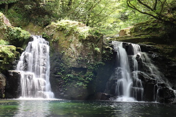 Fototapeta na wymiar 日本の山奥にある滝