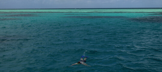 A Man Snorkelling at the Great Barrier Reef, Queensland, Australia