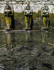 Pond, with very clear water, seeing through many swimming fish.  Ancient, with a stone carving figure of human pouring water into the pond. Located in Bali, Indonesia.
