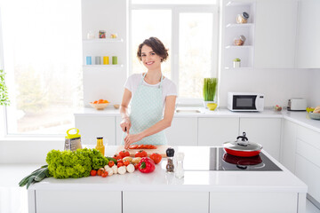 Photo of housewife attractive chef lady arms holding tomato cutting knife slices enjoy morning cooking tasty dinner family meeting wear apron t-shirt stand modern kitchen indoors