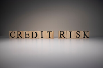 The word credit risk from wooden blocks. Business and banking concept. Spot light on white background. Close up.