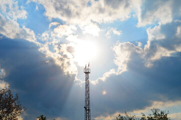 the sky above the trees in the forest