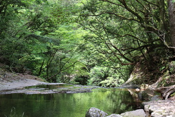 Obraz premium 日本の山奥にある川