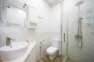House and apartment toilet interior