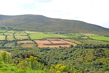 Obraz premium Green landscape with lots of fields, Ireland