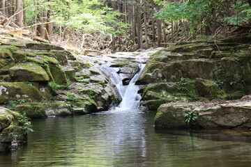 Obraz premium 日本の山奥にある滝