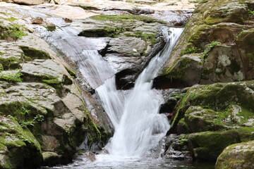 日本の山奥にある滝