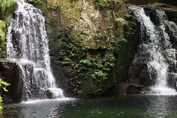 Fototapeta na wymiar 日本の山奥にある滝