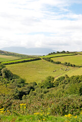 Fototapeta na wymiar Green landscape with lots of fields, Ireland