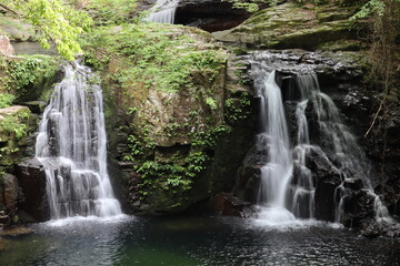 Obraz premium 日本の山奥にある滝