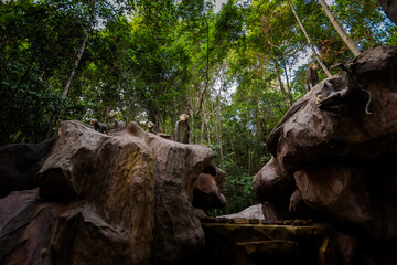 Fototapeta na wymiar Jungle waterfall on Phu Quoc