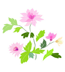 vector illustration of flowers