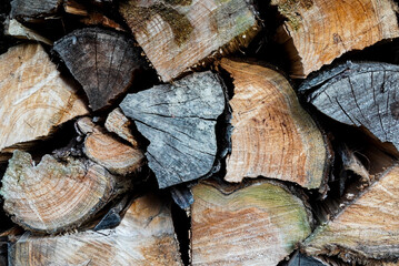 Wood Log Pile Background Texture Wallpaper