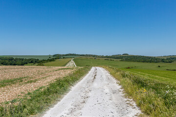 A long chalk pathway in the South Downs, with a clear blue sky overhead