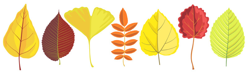 vector set of tree leaves