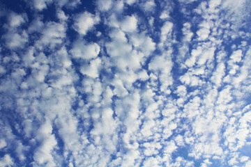 Fototapeta na wymiar Beautiful cirrus clouds. Background. Texture. Landscape.