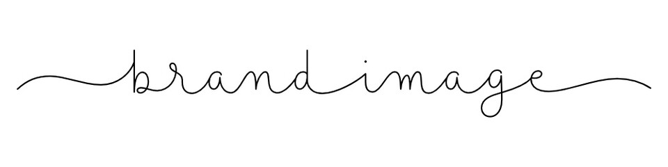 BRAND IMAGE black vector monoline calligraphy banner with swashes