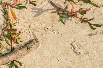 Real beach sand detailed macro closeup texture or background