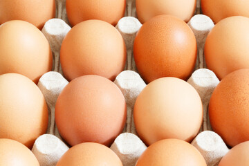 Fresh chicken eggs in a paper box 