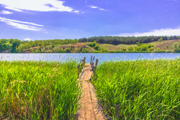 rural landscape, vacation, summer holidays in the forest on the lake.