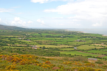 Fototapeta premium View from a hill on the green landscape with lots of fields, Ireland