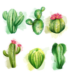 Set of cactuses. Exotic plants collection. Cactus with flower