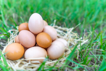 There are many eggs that are stacked together and have one egg that has a beautiful shape put on top with the background is green grass. Happy Easter day concept