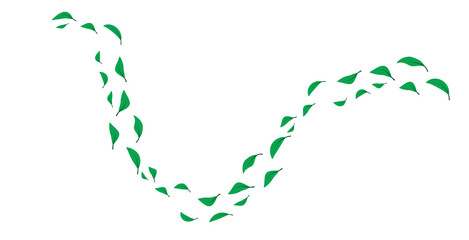 folata di vento, foglie verdi,  foglia