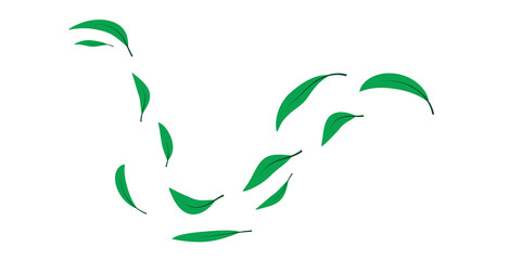 folata di vento, foglie verdi,  foglia